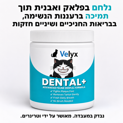 Velyx | אבקת Dental+