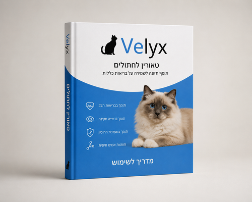 מדריך דיגיטלי לבריאות החתול